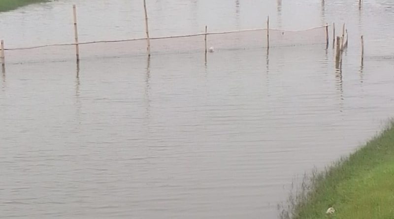 সাতক্ষীরা সদরের ফিংড়ীর ডারার খালে অবৈধ নেট পাটা দিয়ে পানির গতিপথ রোধের অভিযোগ।
